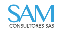 SAM CONSULTORES